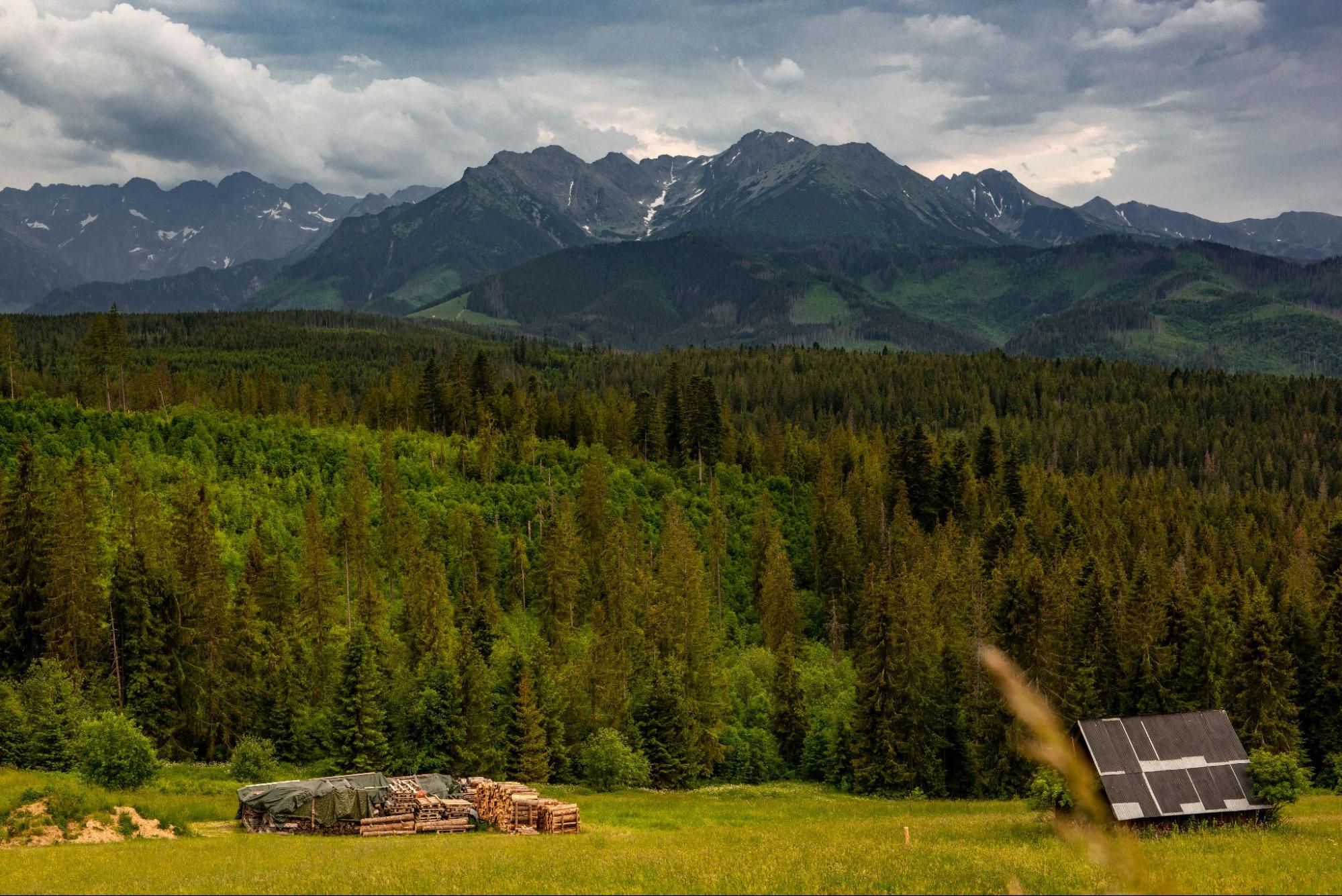 widok na Tatry